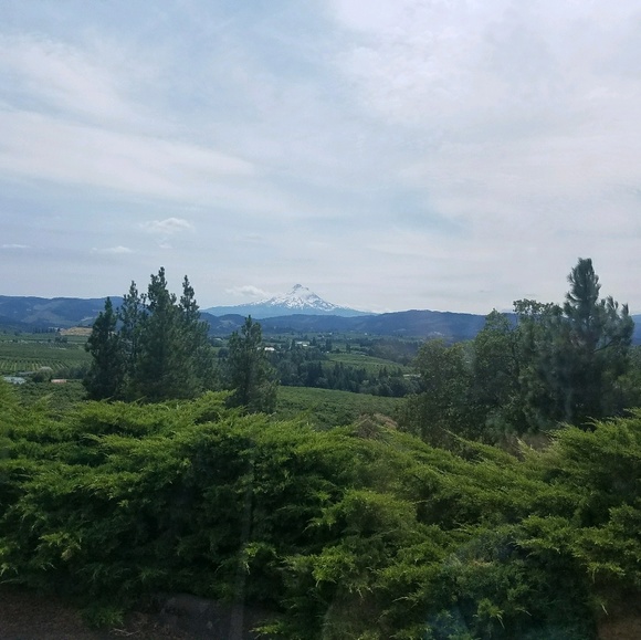 Meet your Posher, Janice - Picture 1 of 1